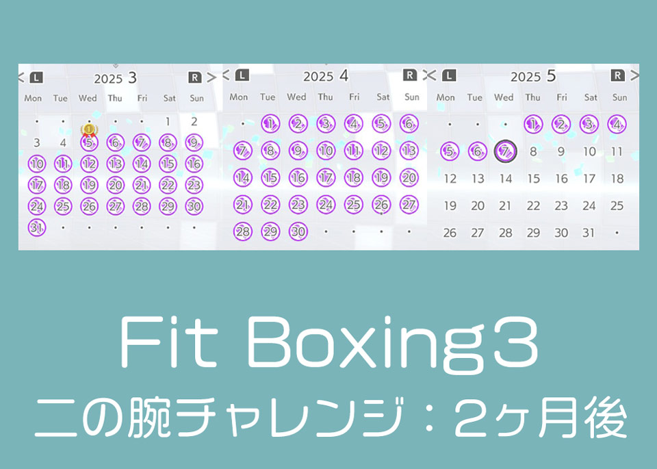 フィットボクシング3を毎日2ヶ月実行