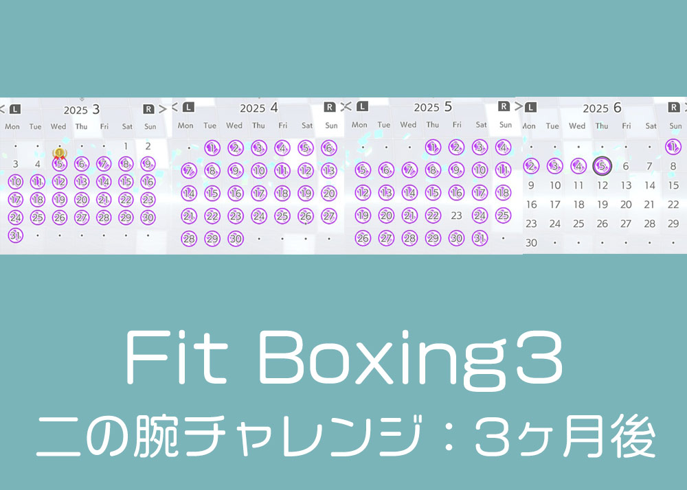 Fit Boxingで二の腕ダイエット、3ヶ月目