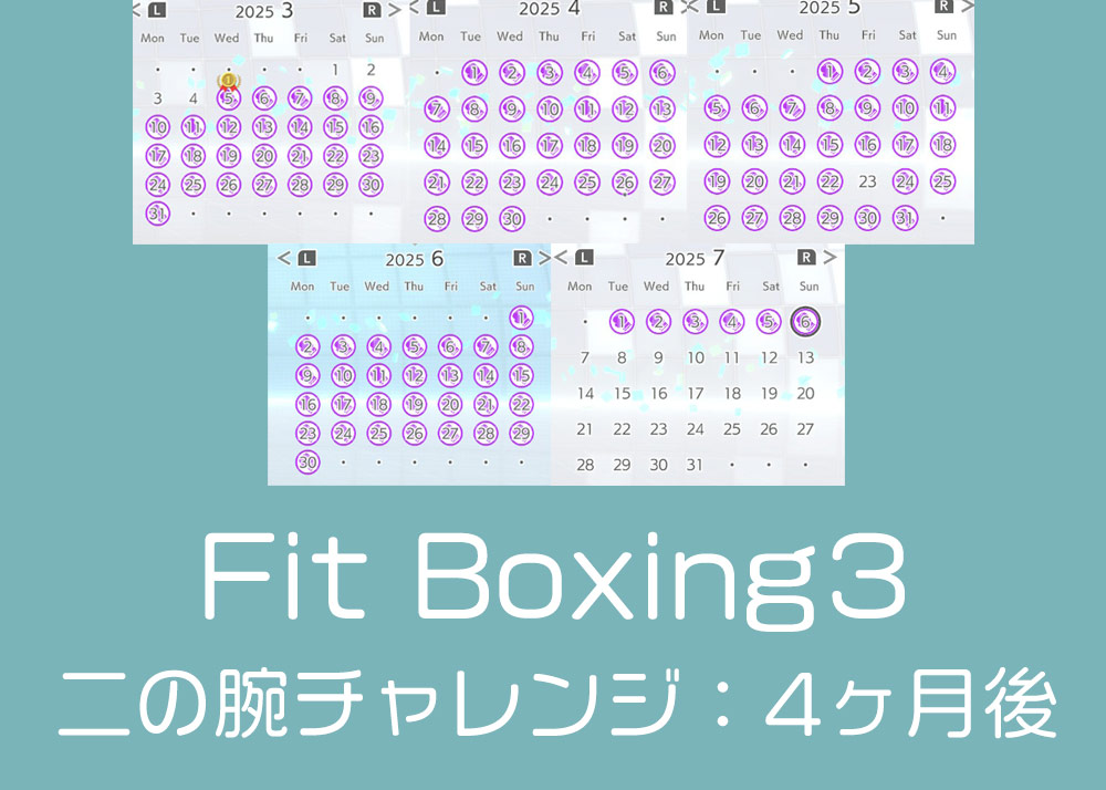 フィットボクシング3を4ヶ月継続中！
