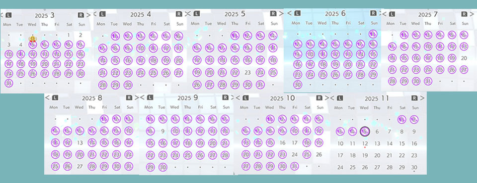 フィットボクシング3の実行カレンダー8ヶ月間